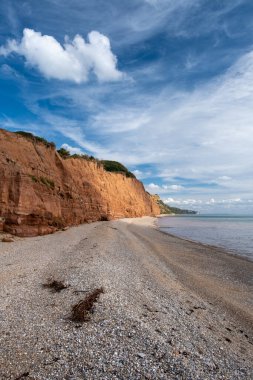 Sidmouth çakıl taşı plajı Devon İngiltere İngiltere 