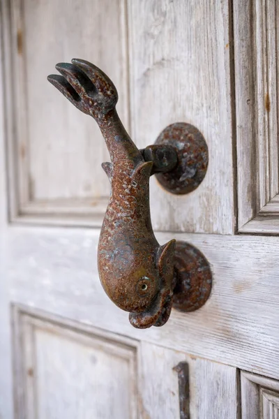 Μεταλλική Πόρτα Δελφίνι Knocker Μια Ξύλινη Πόρτα — Φωτογραφία Αρχείου