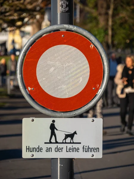 Zug Ελβετία Δεκεμβρίου 2021 Εστίαση Στην Πινακίδα Όπου Σκυλιά Δεν — Φωτογραφία Αρχείου