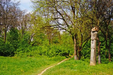 Uzhgorod 'da bir bahar günü yeşil ağaçlardan ve otlardan oluşan güzel patikalarla park et.