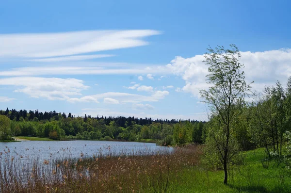 Горное Озеро Чистой Спокойной Водой Рядом Высоким Зеленым Лесом Солнечный — стоковое фото