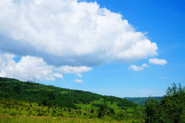 Vista Panorámica Las Montañas Los Cárpatos Cubiertas Hierba Verde Bosque — Foto de Stock