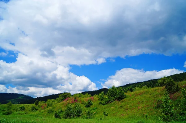 Panoramatický Výhled Karpatské Hory Pokryté Zelenou Trávou Lesem Letního Slunečného — Stock fotografie