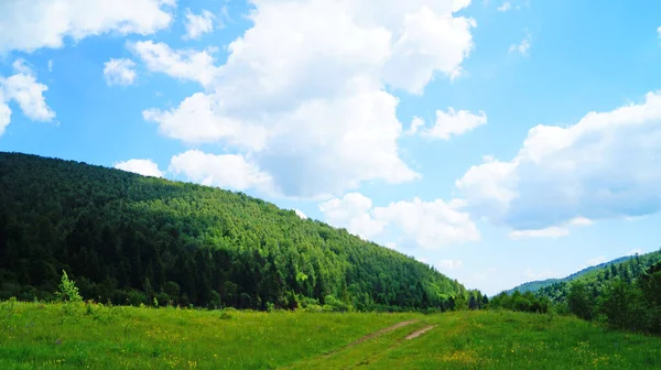 Vista Panorámica Las Montañas Los Cárpatos Cubiertas Hierba Verde Bosque — Foto de Stock