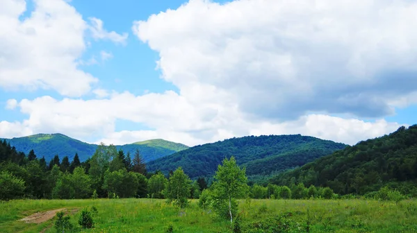 Blick Auf Die Karpaten Mit Grünem Gras Und Wald Einem — Stockfoto