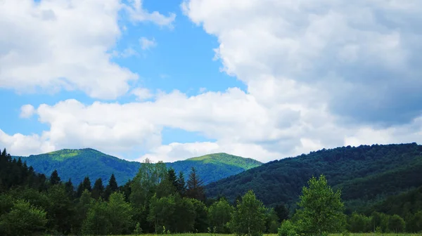 Karpat Dağlarının Panoramik Manzarası Güneşli Bir Yaz Gününde Yeşil Çimen — Stok fotoğraf