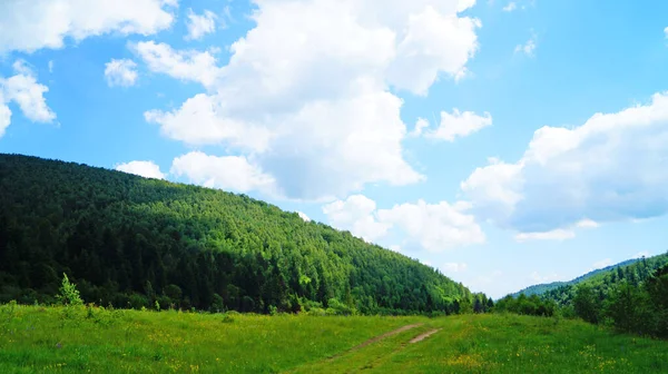Vue Panoramique Sur Les Montagnes Des Carpates Couvertes Herbe Verte Photo De Stock