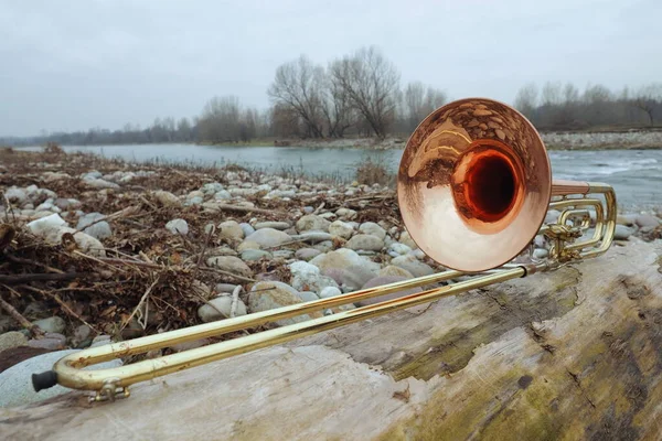 Trombone Ποζάροντας Στον Κορμό Κατά Μήκος Του Ποταμού Brembo Λομβαρδία — Φωτογραφία Αρχείου