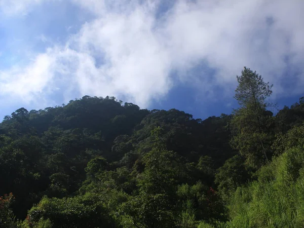 Céu Azul Bonito Montanha Manhã Com Silhueta Árvore Dramática — Fotografia de Stock