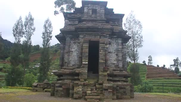 Πέτρινα Ερείπια Του Ναού Dwarawati Στο Dieng Κεντρική Ιάβα Ινδονησία — Αρχείο Βίντεο