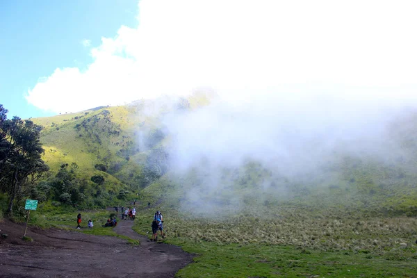 Ρομαντική Και Γαλήνια Ομίχλη Στη Σαβάνα Του Όρους Merbabu Ινδονησία — Φωτογραφία Αρχείου