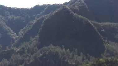 Endonezya 'da sabah tropikal ormanların güzelliğinin egzotizmi, dünyanın akciğerlerinden biri olarak.