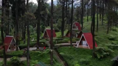 drone video exotic scenery and natural coolness in the pine forest, this pine forest is a tourist attraction called Limpakuwus in Purwokerto Indonesia.