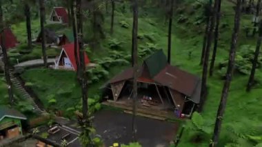 drone video exotic scenery and natural coolness in the pine forest, this pine forest is a tourist attraction called Limpakuwus in Purwokerto Indonesia.