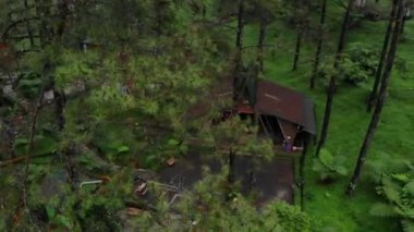 drone video exotic scenery and natural coolness in the pine forest, this pine forest is a tourist attraction called Limpakuwus in Purwokerto Indonesia.