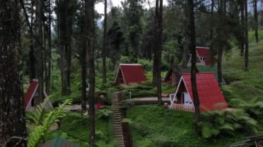 drone video exotic scenery and natural coolness in the pine forest, this pine forest is a tourist attraction called Limpakuwus in Purwokerto Indonesia.