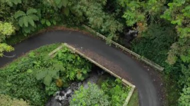 drone video view of the jungle in the beautiful mountains in Indonesia, it appears motorized vehicles pass through the highway through the forest.
