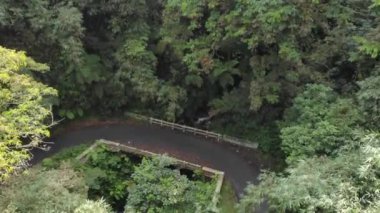 drone video view of the jungle in the beautiful mountains in Indonesia, it appears motorized vehicles pass through the highway through the forest.