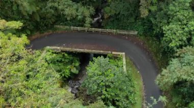 drone video view of the jungle in the beautiful mountains in Indonesia, it appears motorized vehicles pass through the highway through the forest.
