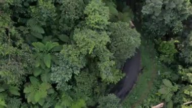drone video view of the jungle in the beautiful mountains in Indonesia, this video is romantic.