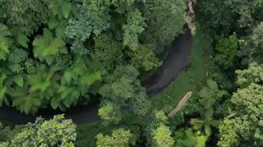 drone video view of the jungle in the beautiful mountains in Indonesia, this video is romantic.
