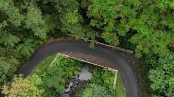 Drone Video View Jungle Beautiful Mountains Indonesia Appears Motorized Vehicles — Stockvideo