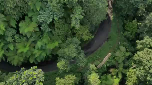 Drone Video View Jungle Beautiful Mountains Indonesia Video Romantic — Stockvideo