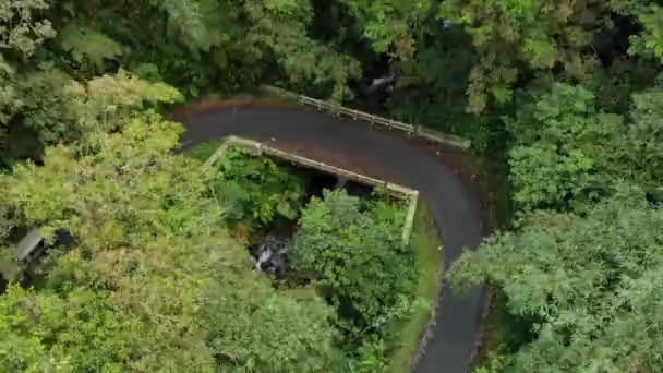 Drone Video View Jungle Beautiful Mountains Indonesia Appears Motorized Vehicles — Stock Video
