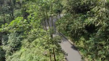 drone video view of the jungle in the beautiful mountains in Indonesia, this video is romantic.