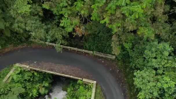 Drone Video View Jungle Beautiful Mountains Indonesia Appears Motorized Vehicles — Vídeo de Stock