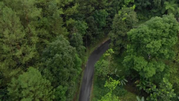 Drone Video View Jungle Beautiful Mountains Indonesia Video Romantic — Vídeo de Stock