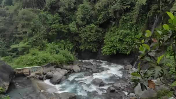 Gurgling Σαφή Ροή Του Ποταμού Στα Δροσερά Βουνά Της Ινδονησίας — Αρχείο Βίντεο