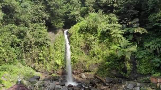 Gurgling Clear Waterfall Flow Cool Mountains Indonesia Waterfall Flow Source — Vídeo de stock