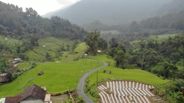 Exotic Scenery Rice Terraces Rural Indonesia Rural Atmosphere Very Comfortable — Stockvideo