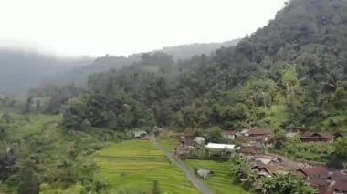exotic scenery of rice terraces in rural Indonesia. the rural atmosphere is very comfortable and cool.