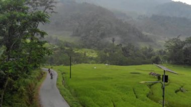 exotic scenery of rice terraces in rural Indonesia. the rural atmosphere is very comfortable and cool.