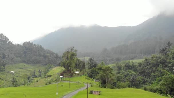 Exotic Scenery Rice Terraces Rural Indonesia Rural Atmosphere Very Comfortable — Stock Video