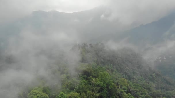 Romantic Drone Video Mountainous Fog Mist Mountains Indonesia Has Beautiful — Stock Video