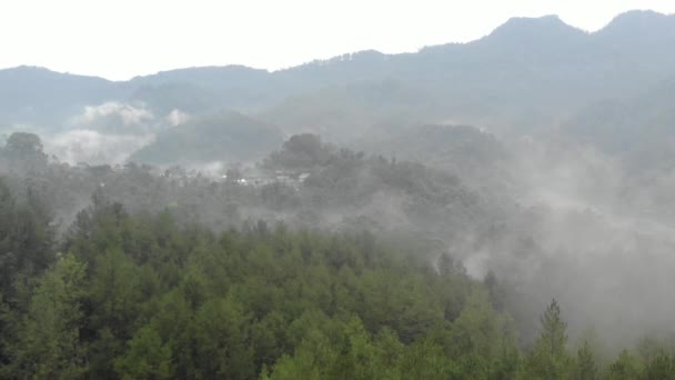 Romantic Drone Video Mountainous Fog Mist Mountains Indonesia Has Beautiful — Vídeo de Stock