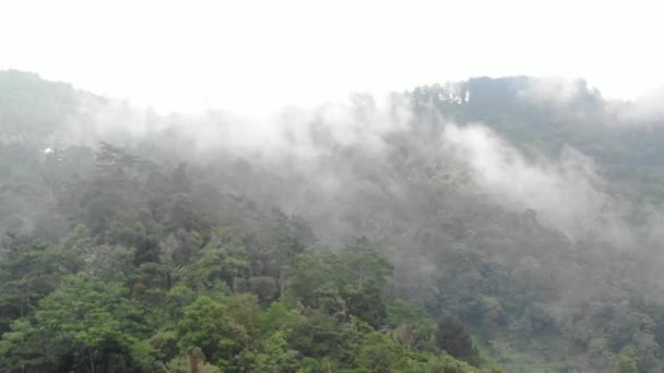 Romantic Drone Video Mountainous Fog Mist Mountains Indonesia Has Beautiful — Vídeo de Stock