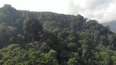 This romantic drone video of mountainous fog, mist and mountains in Indonesia has a beautiful view