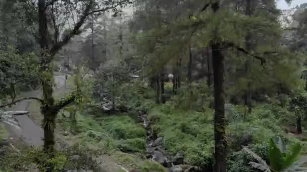 Romantic Drone Video Mountainous Fog Mist Mountains Indonesia Has Beautiful — Stockvideo