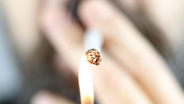 Primer Plano Hombre Fumando Cigarrillo Cigarrillo Ardiente Articulación Cannabis — Vídeo de stock