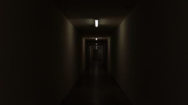 Skrämmande Mörk Korridor Tunnel Underjordisk Gångväg Mystisk Och Mörk Plats — Stockvideo