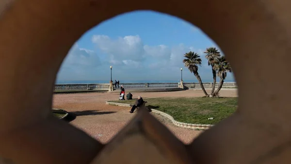 Livorno, Toskana, İtalya - 2 Şubat 2022: Muhteşem Toskana şehri Livorno 'daki Terrazza Mascagni. Terrazza, denize bakan yeşil bir alan ve karton döşemesi olan bir belvedere..
