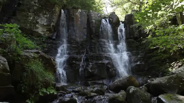 Dardagna Waterfalls Located Upper Bolognese Apennines Dardagna Stream Corno Alle — Stock Video