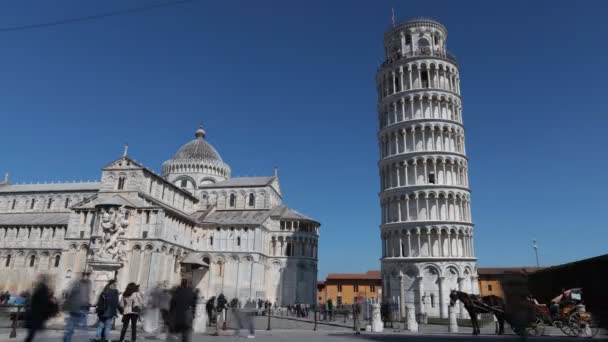 意大利托斯卡纳比萨 2022年4月5日 大教堂的米兰广场 Piazza Dei Miracoli 倾斜塔 Leaning Tower 和马厩 — 图库视频影像