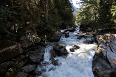 Rapids of the Sarca River in Val di Genova in Trentino, Italy.