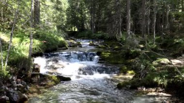 İtalya Alplerinde, ormanın ortasında kayalık bir dere var..