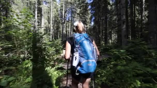 Adventure Backpacking Val Genova Adamello Brenta Park Nardis Waterfalls Trentino — Video